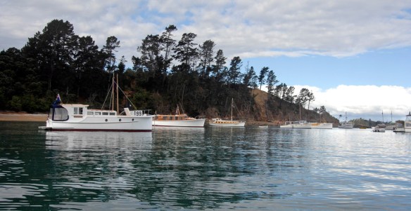 Classic Launches in Patio Bay