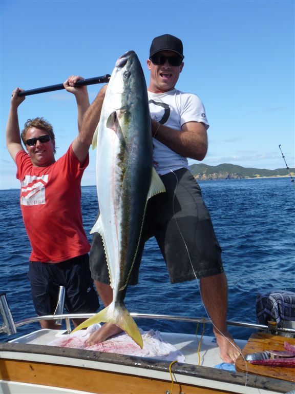 Falcon goes game fishing