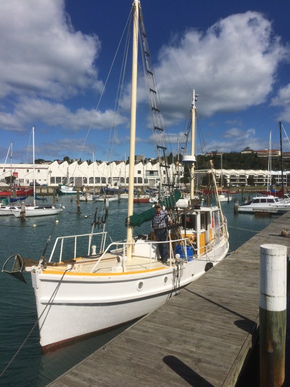 Kelvin in Napier Dec2015