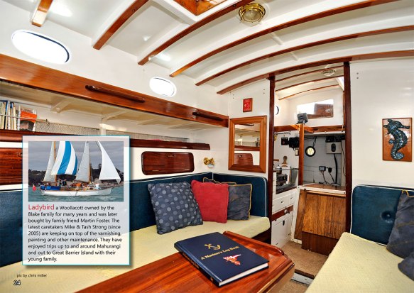 Ladybird - a peek down below