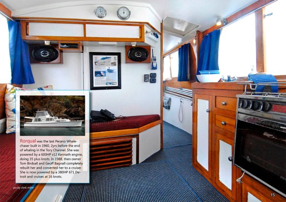 Rorqual - a peek down below