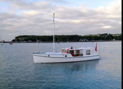 Screen Shot 2019-11-21 at 9.38.43 PM