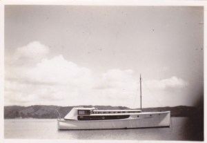 FALCON PONUI CIRCA 1948