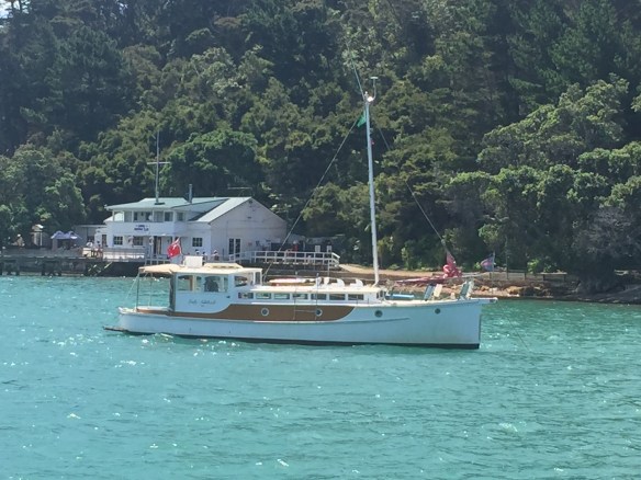 Lady Adelaide Kawau2016