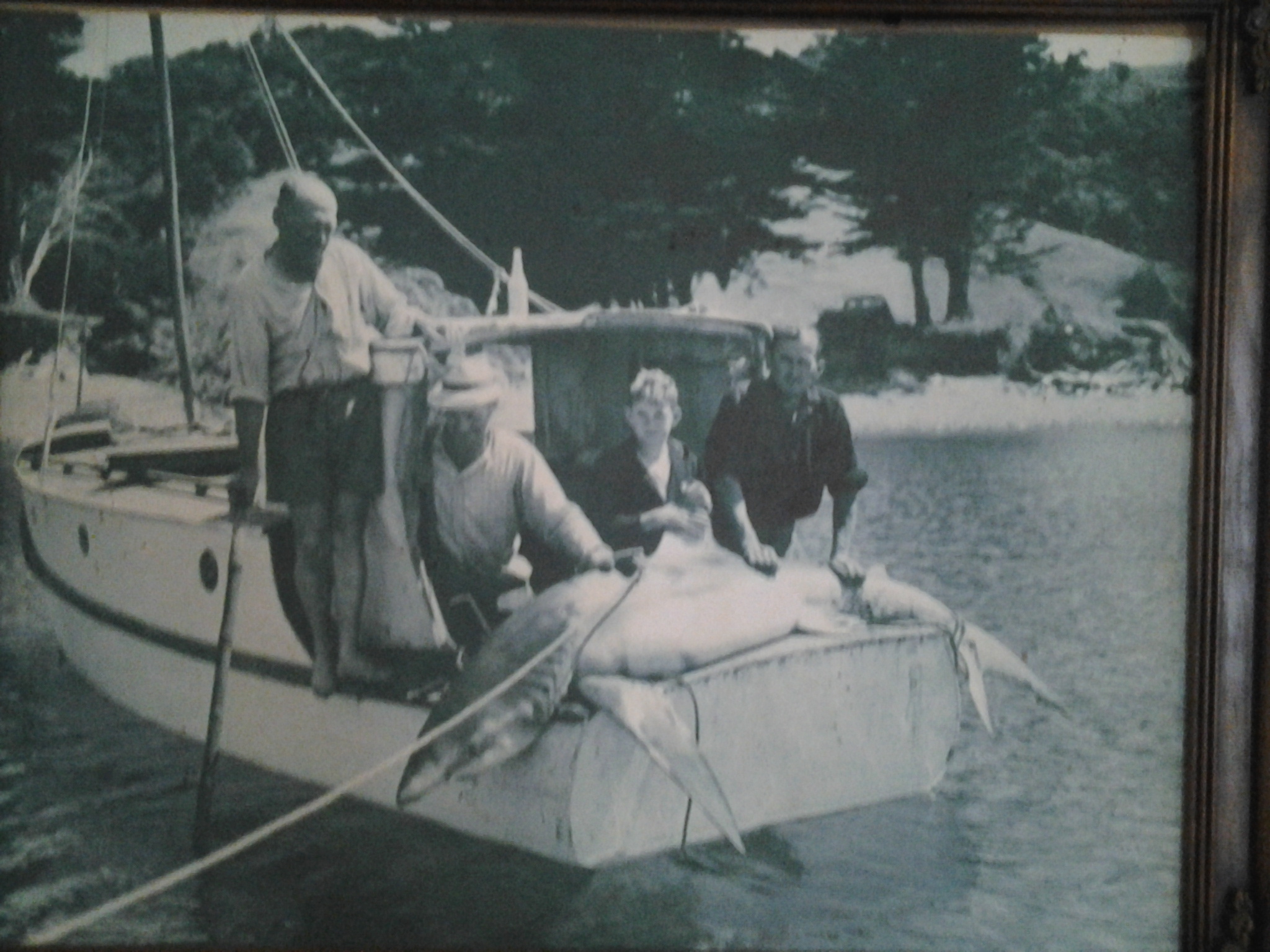 Fisherman 1 - Shark 0