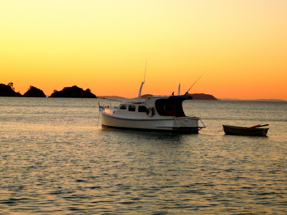 A woody at Waiheke Island
