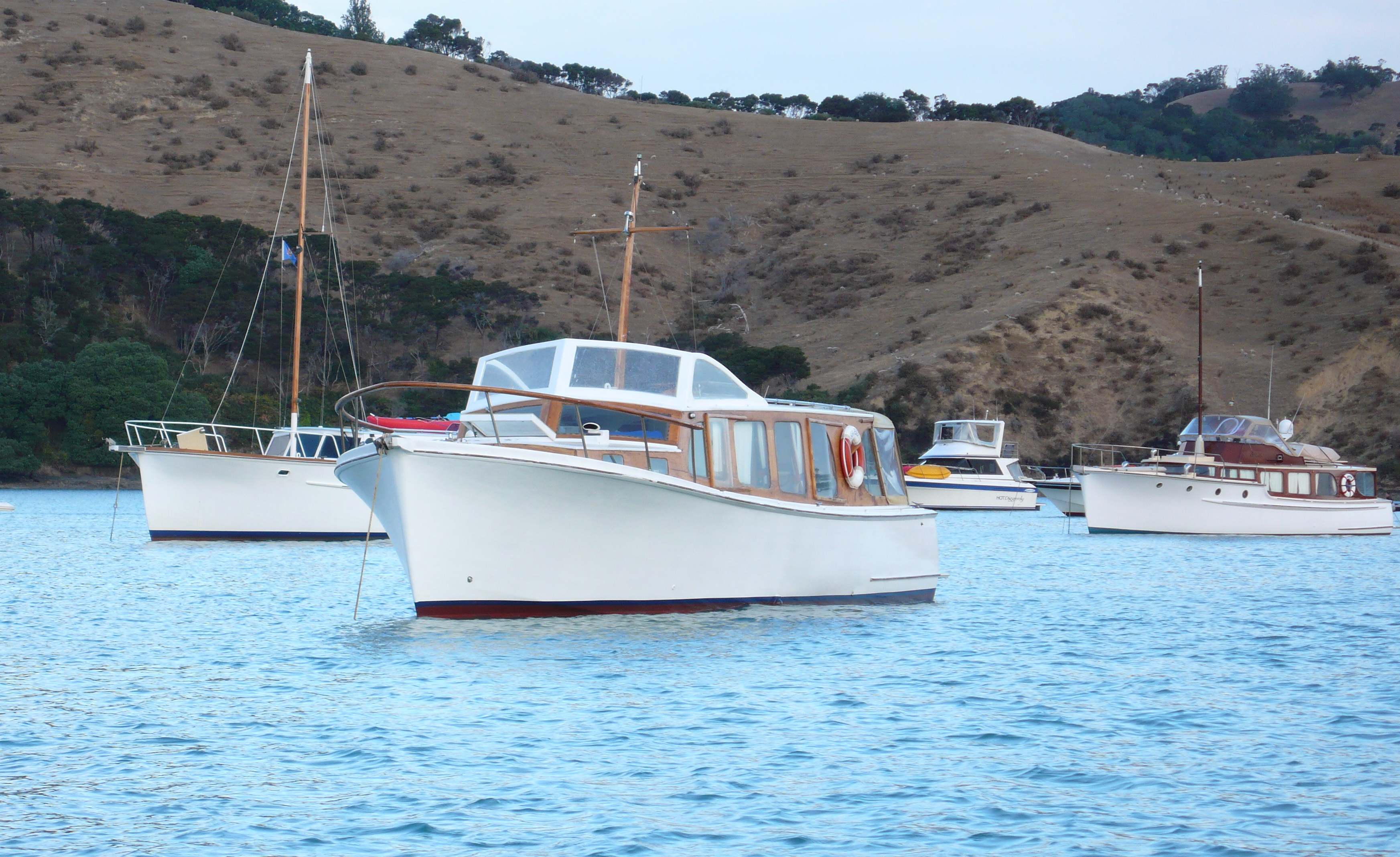 Seafever (l) & Awarua (r)