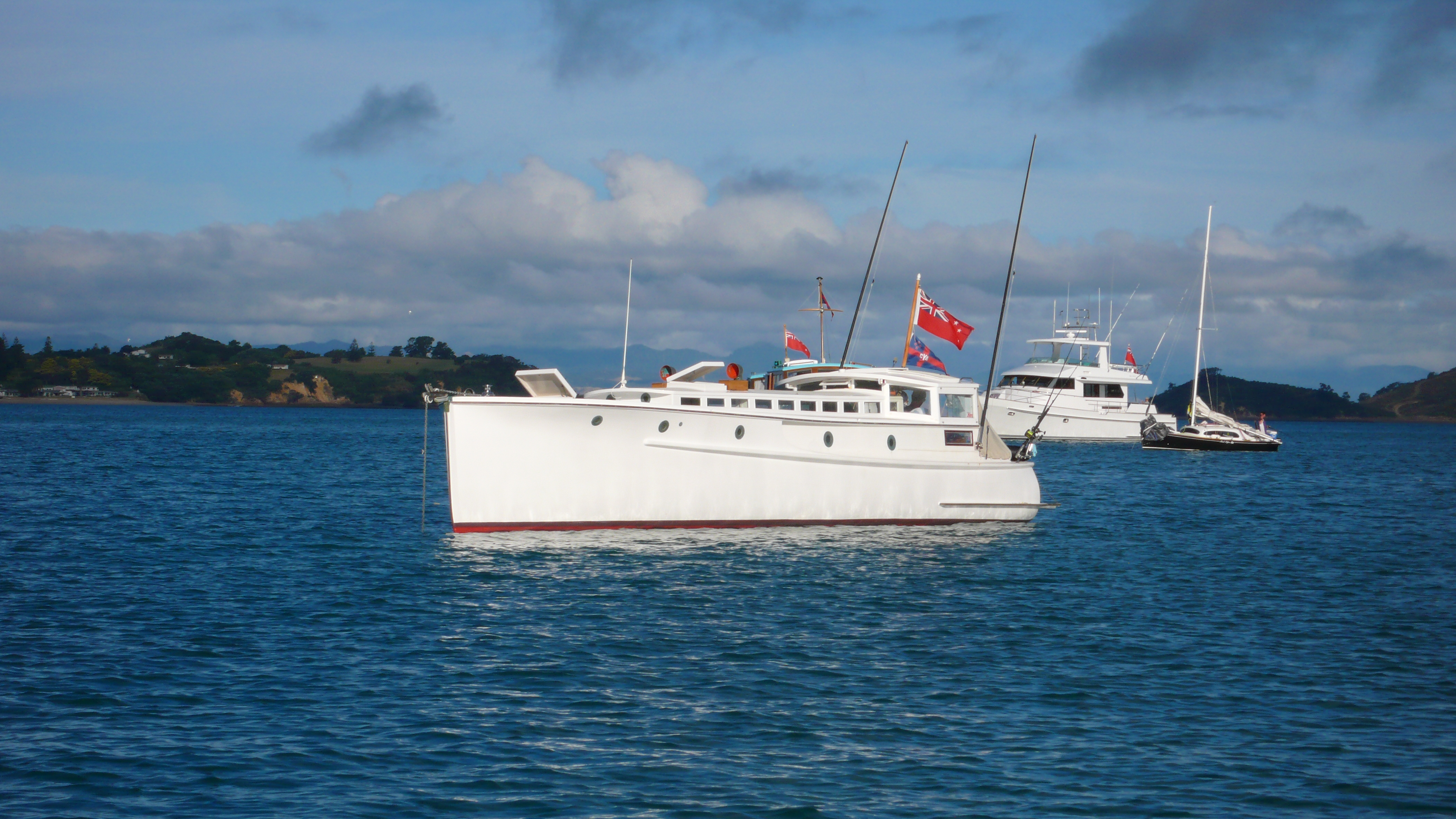 Falcon in Man o War Bay