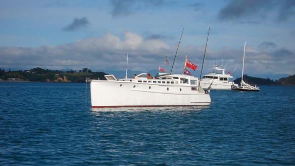 Falcon in Man o War Bay