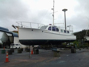 REREMOANA-2 11-10-13