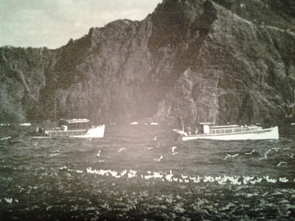 MOVARIE & UNKNOWN GAMEFISHING EX H.E