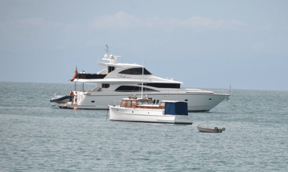 Royal Saxon @ Kaiteriteri