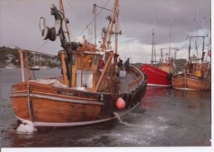 med_gallery_69_171_1323697761_1597