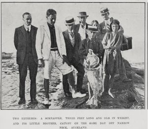 Screen Shot 2013-08-12 at 10.15.24 AM