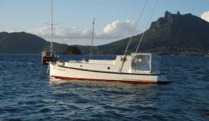 Manaaki Xmas/NY 2103-4