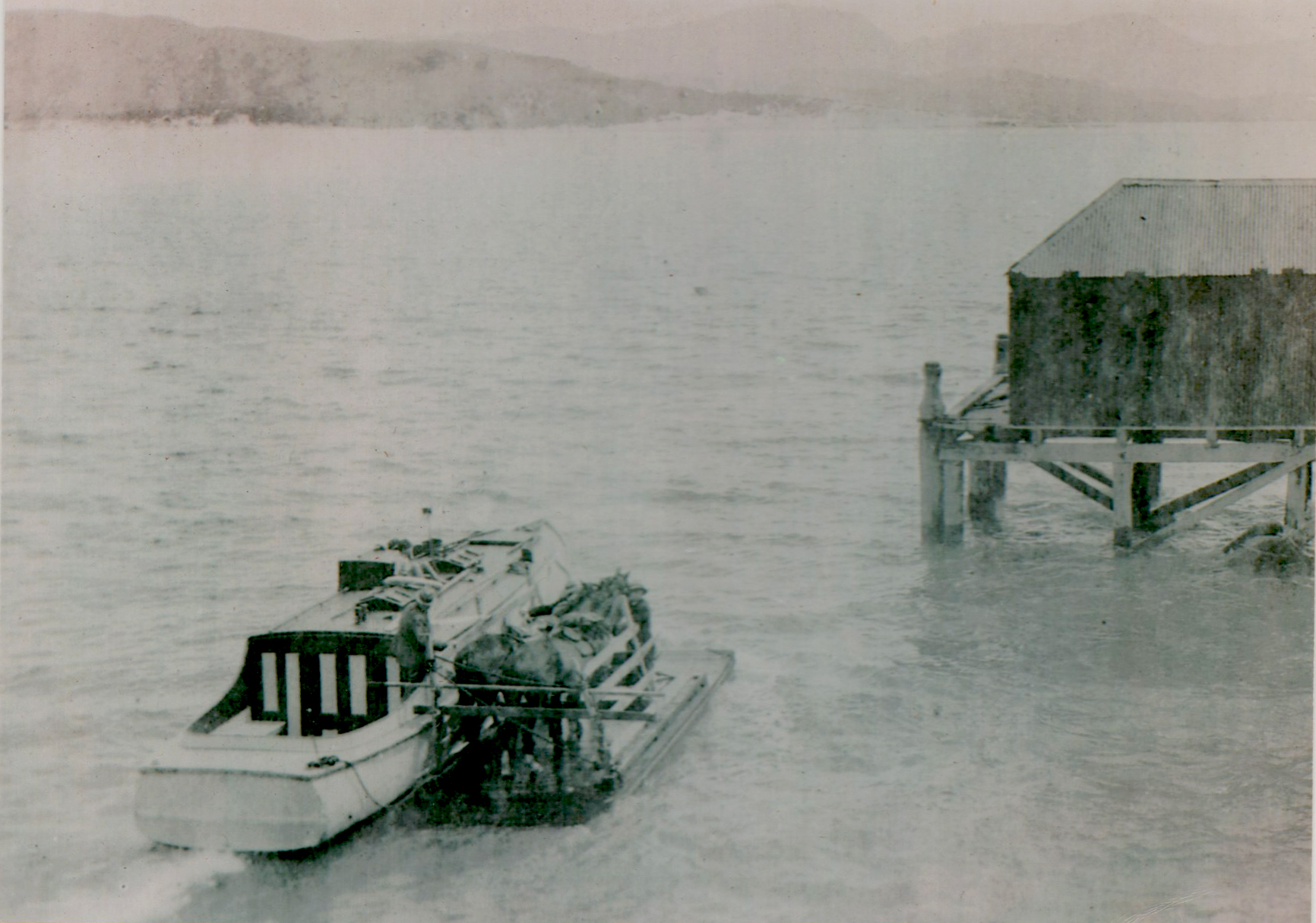 Sierra - 'Horse Float'