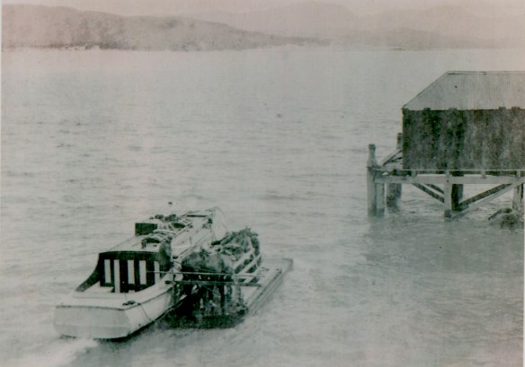 Sierra - 'Horse Float'