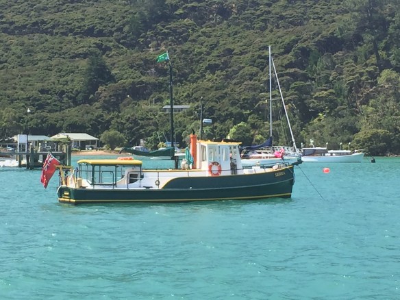 Sierra Kawau Jan2016