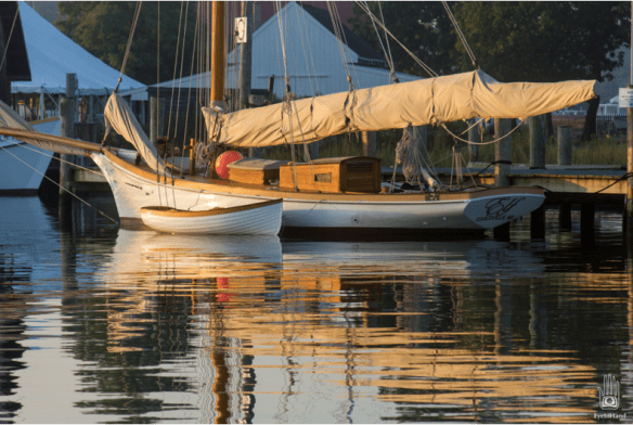 Some stunning Woodys from afar