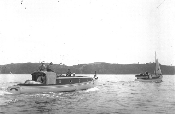 Buffalo Bull & Waiata