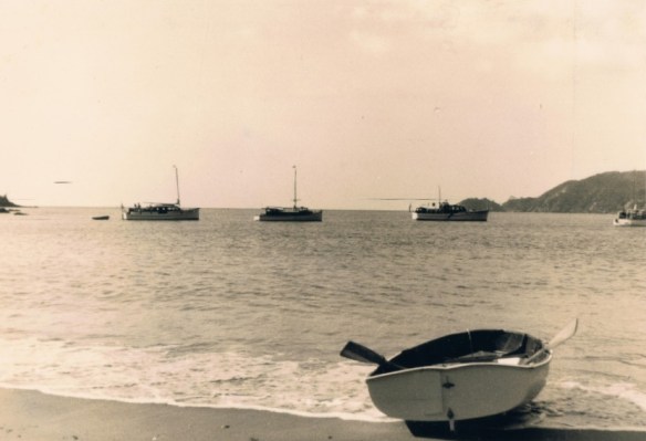 An Impressive Line Up