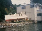 WAINUI2509