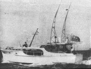 Screen Shot 2015-06-15 at 9.11.45 AM