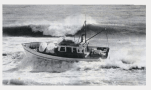 Screen Shot 2014-10-31 at 12.57.33 PM