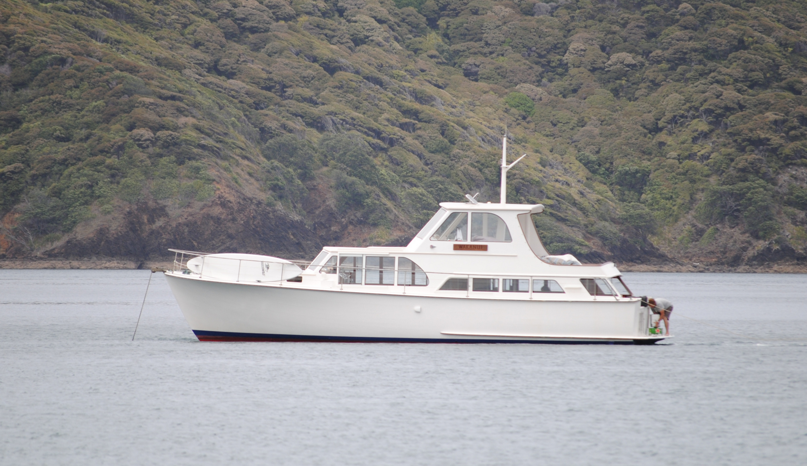 Wakanui at GB Jan 2016