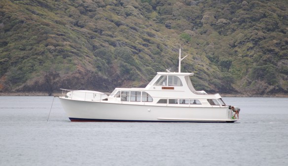 Wakanui at GB Jan 2016