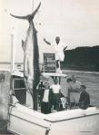 Albacora