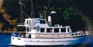 Screen Shot 2015-08-06 at 6.30.41 AM