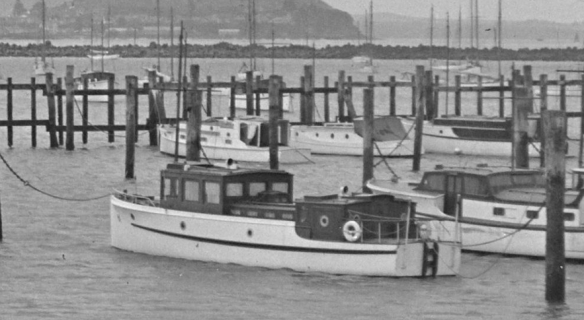 Screen Shot 2016-01-31 at 10.56.49 PM