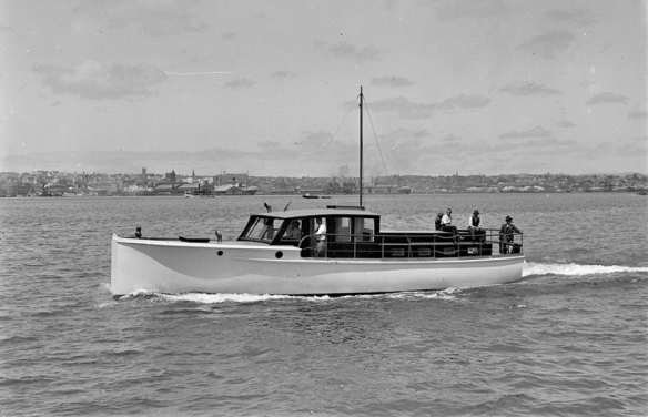 Screen Shot 2019-07-29 at 2.16.11 PM