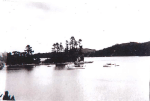 Moanalua36