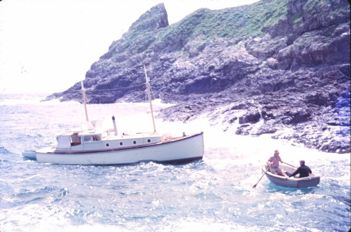 Screen Shot 2019-09-10 at 12.43.08 PM