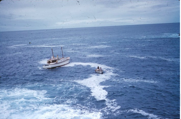 Screen Shot 2019-09-10 at 3.57.54 PM