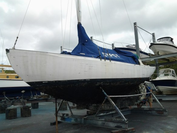 CARINA  @ GH 29.1.16 - 1