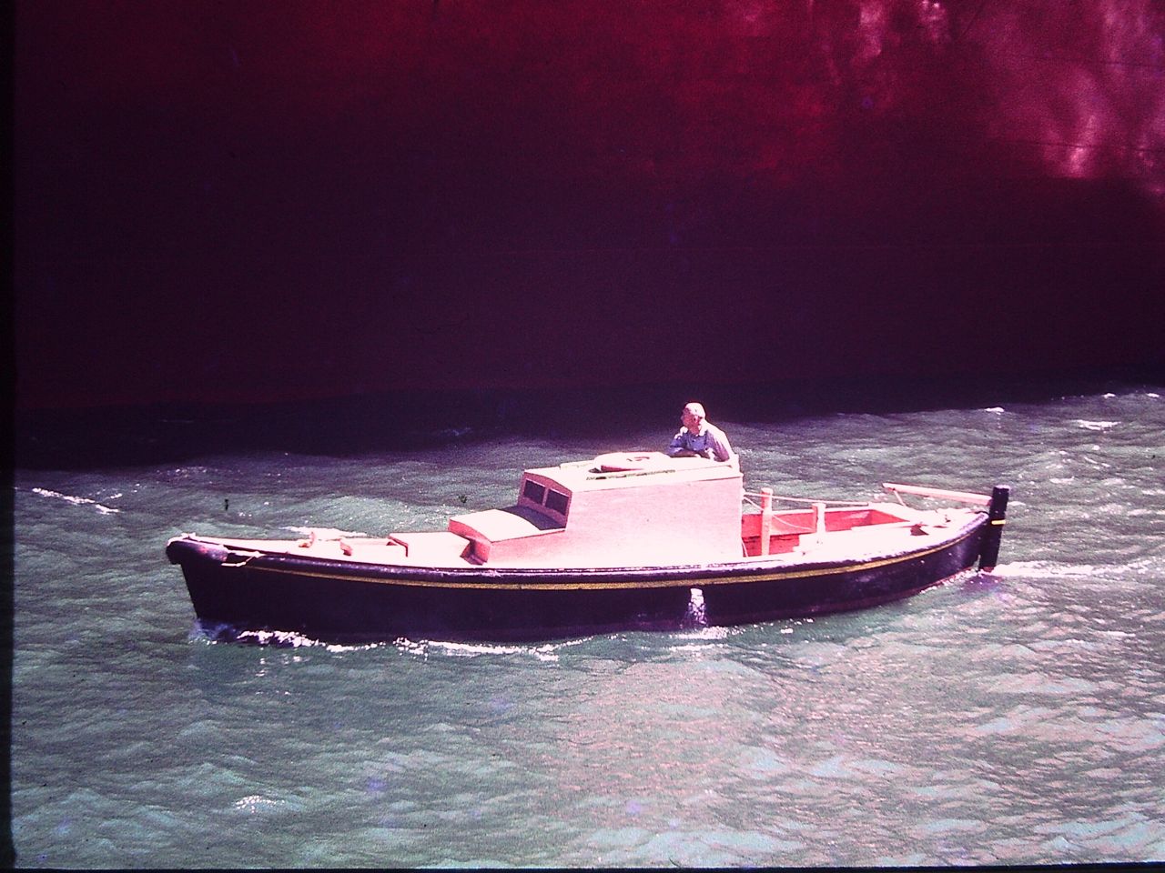 My beautiful picture