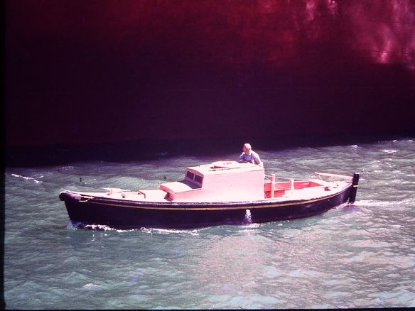 My beautiful picture