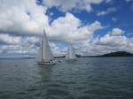IMG_2219