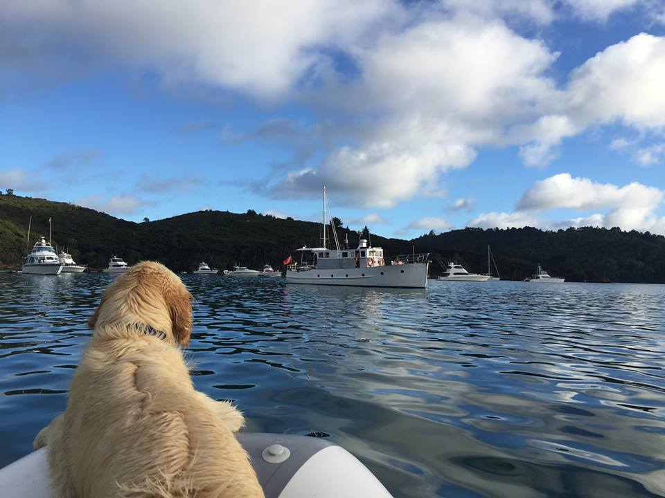 wairangi-in-smokehouse-bay-gt-barrier-28-3-16