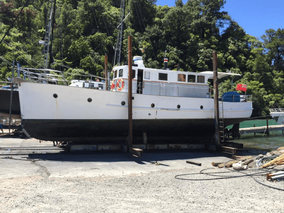 WAIRANGI- THE JOURNEY NORTH - PICTON TO AUCKLAND- PT  1- A CLEAN BUM FIRST