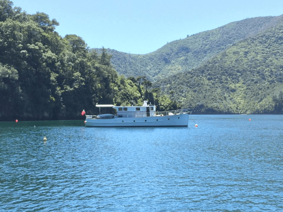 WAIRANGI- THE JOURNEY NORTH - PICTON TO AUCKLAND- PT  1- SHAKE DOWN CRUISE WAITANGI WEEKEND - 1