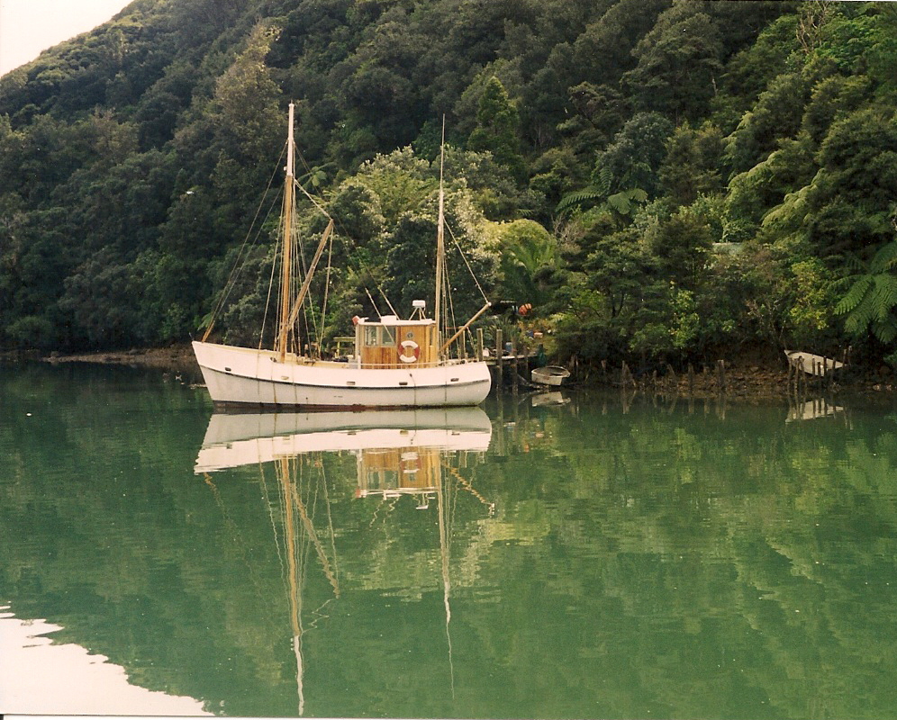 Kirikiriroa at Fitzroy
