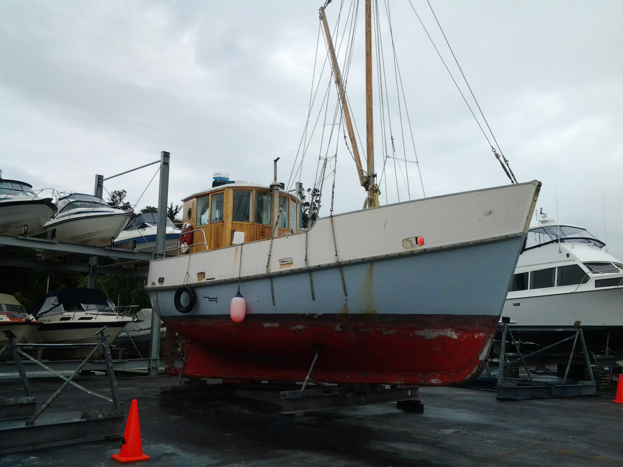 KIRIKIRIROA AT  GULF HARBOUR 24.3.16 - 1