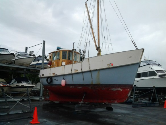 KIRIKIRIROA AT  GULF HARBOUR 24.3.16 - 1