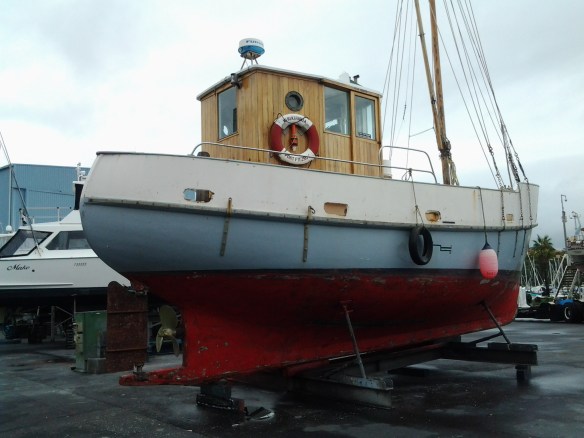 KIRIKIRIROA AT  GULF HARBOUR 24.3.16 - 2