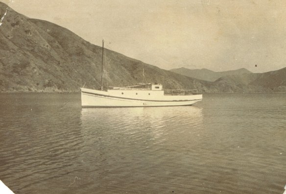 Wainui 1955 Smiths Bay Clay Point 30 10 2015