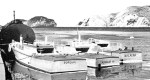 Rorqual and others